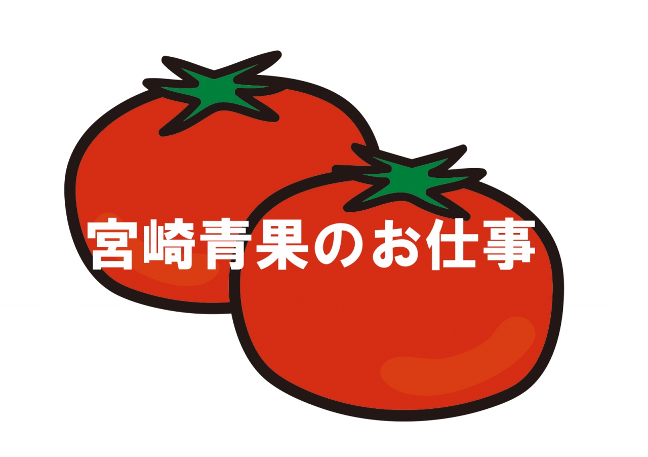 宮崎青果のお仕事